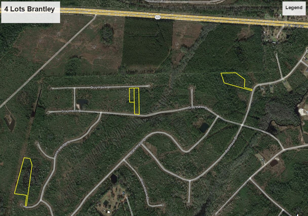Brantley County Land Value at Jean Collins blog